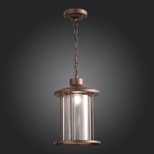 SL080.403.01 Светильник уличный подвесной ST-Luce Темный кофе/Прозрачный, Темный кофе E27 1*60W LASTERO фото 6