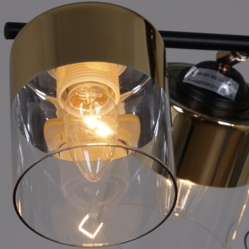 Потолочная люстра Reluce 11555-0.3-06 BK+FGD фото 5