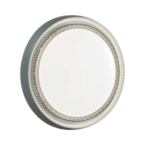 Настенно-потолочный светодиодный светильник Sonex Pale Rahig 7644/DL фото 5