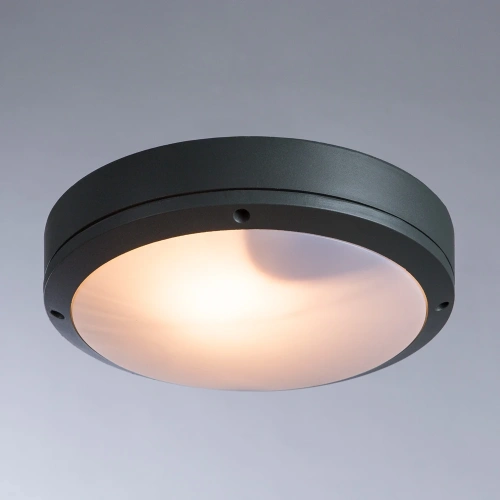 Уличный потолочный светильник Arte Lamp CITY A8154PF-2GY фото 2 Уличный потолочный светильник Arte Lamp CITY A8154PF-2GY фото 2