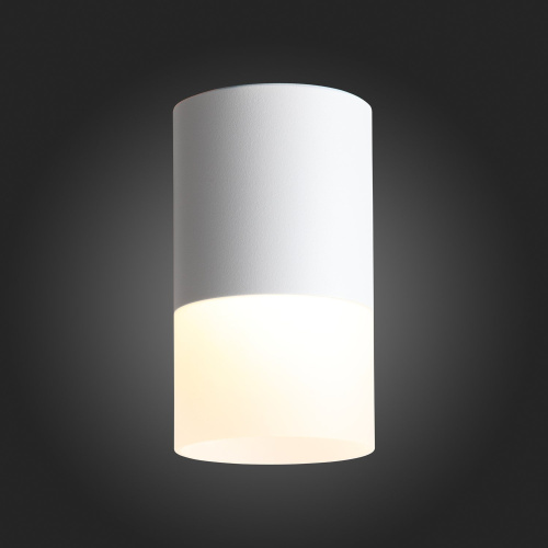 ST100.502.10 Светильник потолочный Белый LED 1*10W 3000K 780Lm Ra>80 120° D78xH135 170-240V Накладные светильники фото 9