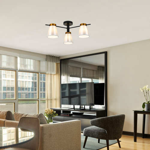 Светильник на штанге 120005/3R E14*40W Black/Gold фото 2 Светильник на штанге 120005/3R E14*40W Black/Gold фото 2