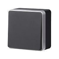 Выключатель одноклавишный Gallant черный с серебром W5010034 W5010034