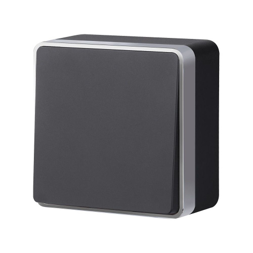 Выключатель одноклавишный Gallant черный с серебром W5010034 W5010034