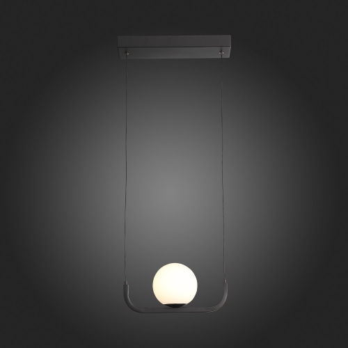 SL1581.403.01 Светильник подвесной ST-Luce Черный/Белый LED 1*8W 3200K BOTELLI фото 3