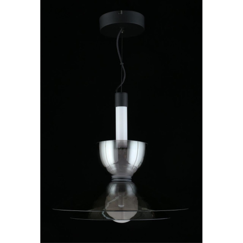 Светильник подвесной APL.772.16.12 фото 13