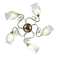 Потолочная люстра Arte Lamp MUGHETTO A9289PL-5GO
