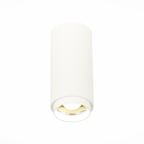 ST600.542.10 Светильник потолочный Zoom Белый LED 1*10W 4000K 1 000Lm Ra>80 15-60° IP20 D59xH130 170 Накладные светильники фото 5