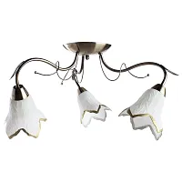 Потолочная люстра Arte Lamp BARBARA A6066PL-3AB