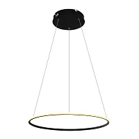 Подвесная люстра Arte Lamp RAPID A2500SP-1BK