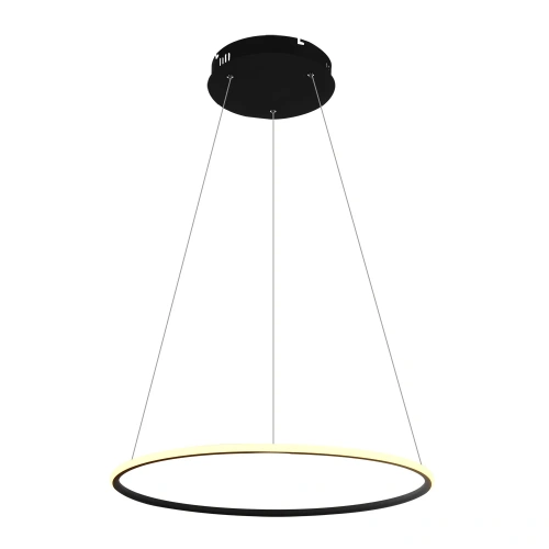 Подвесная люстра Arte Lamp RAPID A2500SP-1BK Подвесная люстра Arte Lamp RAPID A2500SP-1BK