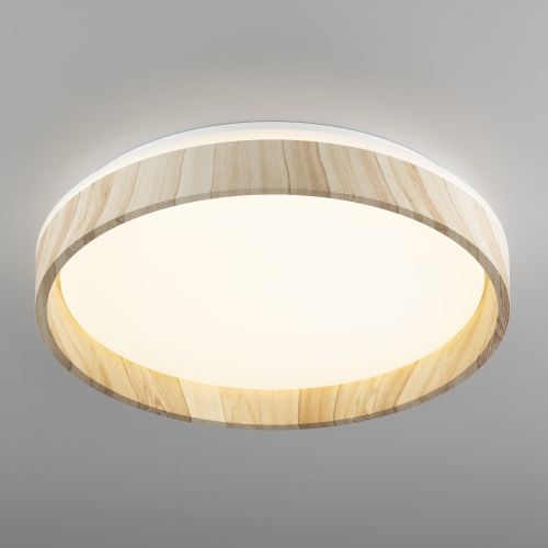 Citilux ENZO CL753352G LED RGB Светильник с пультом Клён фото 3 Citilux ENZO CL753352G LED RGB Светильник с пультом Клён фото 3