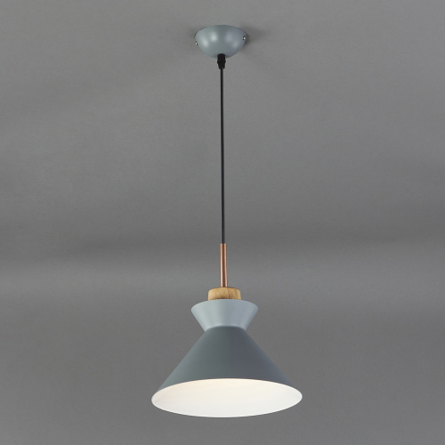 Подвесной светильник Escada 1106/1S E27*40W Grey фото 3