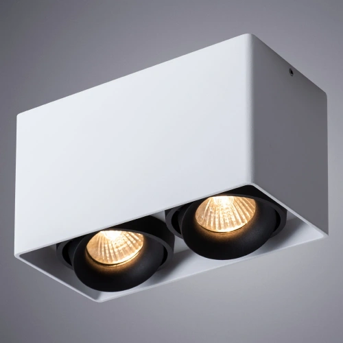 Точечный накладной светильник Arte Lamp PICTOR A5654PL-2WH фото 2 Точечный накладной светильник Arte Lamp PICTOR A5654PL-2WH фото 2