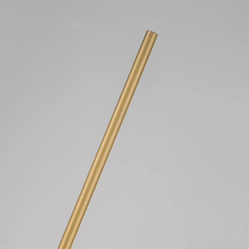 Торшер Favourite 4890-1F Барбель/Barbell фото 10 Торшер Favourite 4890-1F Барбель/Barbell фото 10