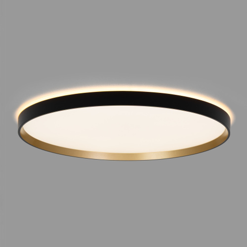 Citilux ETALON CL750501R LED RGB Светильник с пультом Чёрный+Золото фото 6 Citilux ETALON CL750501R LED RGB Светильник с пультом Чёрный+Золото фото 6