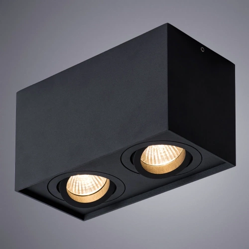 Точечный накладной светильник Arte Lamp FACTOR A5544PL-2BK фото 2