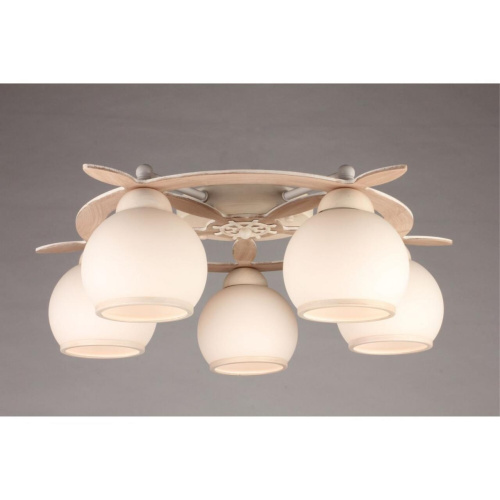 Люстра потолочная OML-50517-05 фото 6 Люстра потолочная OML-50517-05 фото 6