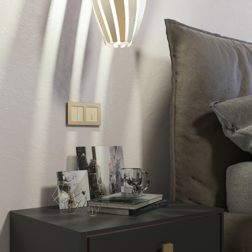 Сенсорный выключатель двухклавишный с подсветкой 1000 Вт (шампань) W4520011 фото 7