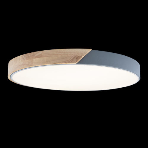 10004/36 Grey Потолочный светильник LOFT IT Axel фото 2 10004/36 Grey Потолочный светильник LOFT IT Axel фото 2