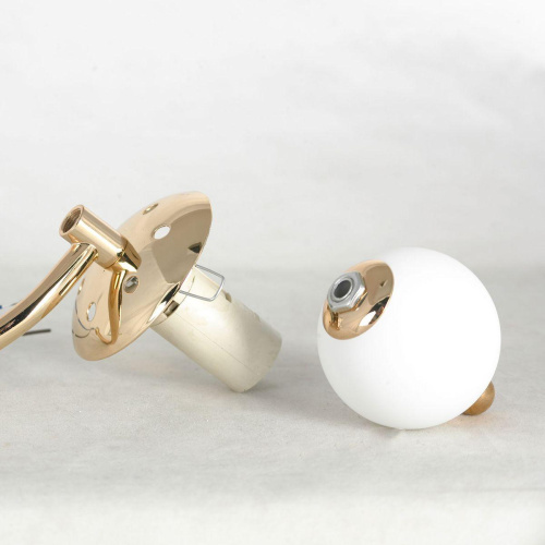 Потолочная люстра Lussole Lgo LSP-8723 фото 5