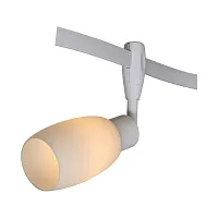 Трековый светильник Arte Lamp RAILS HEADS A3059PL-1WH