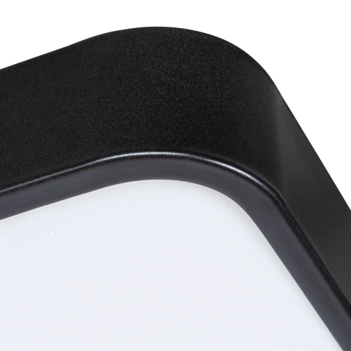 Потолочный светильник Arte Lamp SCENA A2669PL-1BK фото 6