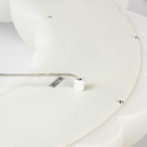 Подвесной светодиодный светильник Lussole Loft Claudia LSP-7078 фото 2