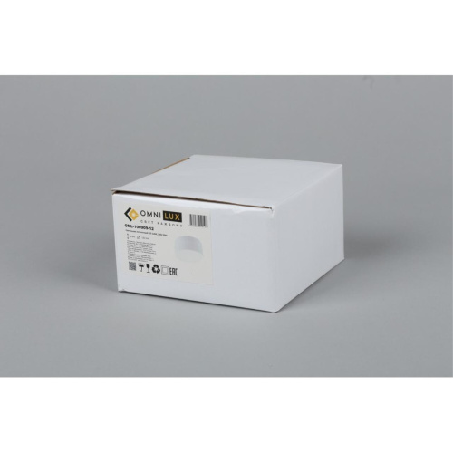 Светильник встраиваемый-накладной OML-100909-12 фото 2