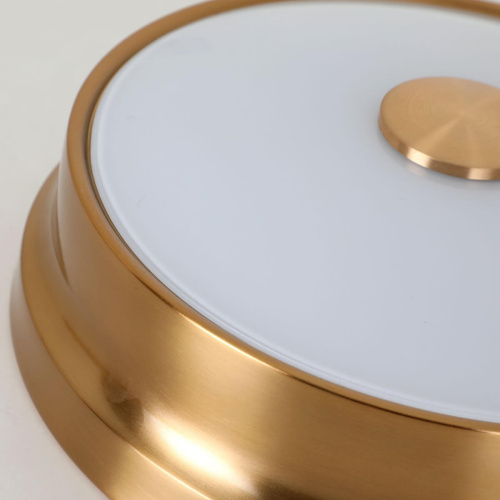 Потолочный светильник Favourite Pannikin 2375-2C фото 2