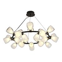 Люстра подвесная Lussole SY5606