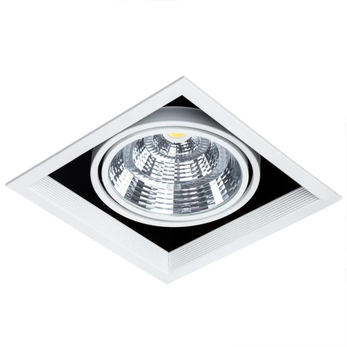 Карданный светильник Arte Lamp MERGA A8450PL-1WH фото 3
