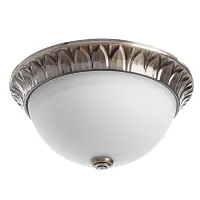 Потолочный светильник Arte Lamp PORCH A7838PL-2AB