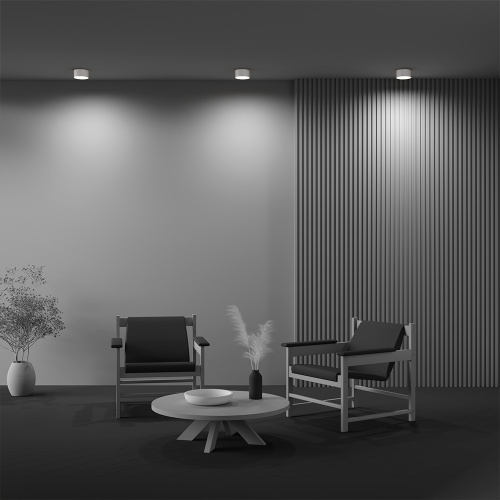 Потолочный светильник Technical C032CL-12W2.7K-RD-W фото 6 Потолочный светильник Technical C032CL-12W2.7K-RD-W фото 6