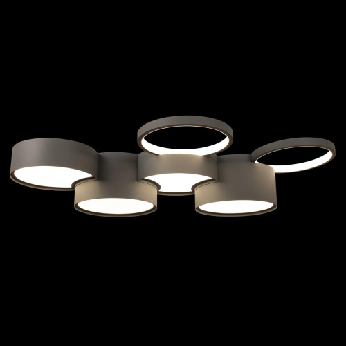 10317/7 Grey Потолочный светильник LOFT IT Pin фото 2