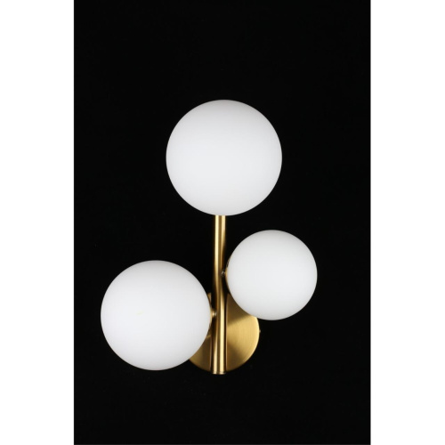 Светильник настенный (Бра) APL.314.01.03 фото 11