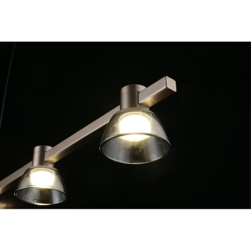 Люстра подвесная APL.788.03.06 фото 10 Люстра подвесная APL.788.03.06 фото 10