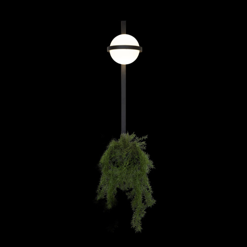 10121W/B Настенный светильник LOFT IT Jardin фото 2