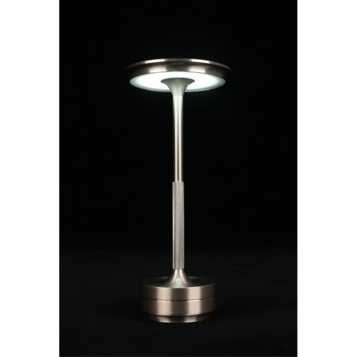 Настольная лампа APL.064.14.05 фото 10