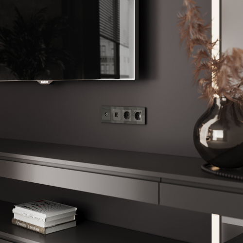 ТВ-розетка оконечная (графит акрил) W1183044 фото 2 ТВ-розетка оконечная (графит акрил) W1183044 фото 2