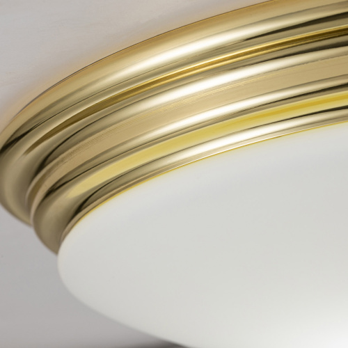 Потолочный светильник для ванных комнат Elstead Lighting, Арт. BATH-BROMPTON-F-PB фото 3