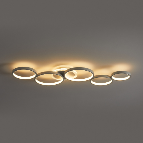 Потолочный светильник Freya FR6201CL-L150W фото 11 Потолочный светильник Freya FR6201CL-L150W фото 11