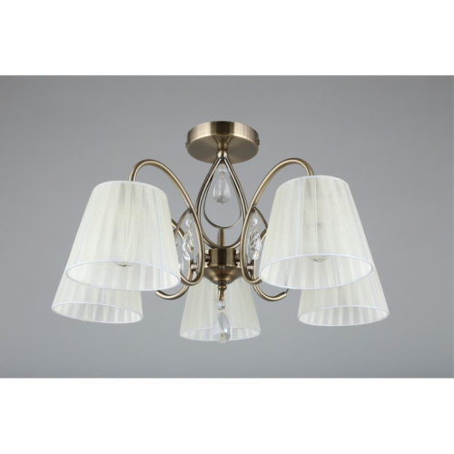 Люстра потолочная OML-56617-05 фото 5