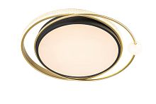 Потолочный светодиодный светильник Arte Lamp Albireo A2658PL-58BK