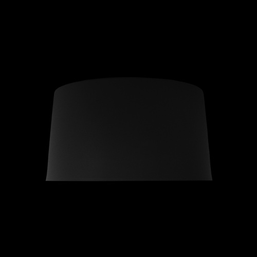 10360S Black Потолочный светильник LOFT IT Duo фото 4