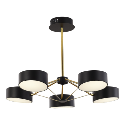 SLE6005-402-05 Светильник потолочный Черный, Золотистый/Черный LED 5*10W VALLE фото 2