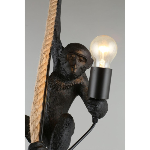 Светильник подвесной APL.309.16.01 фото 7 Светильник подвесной APL.309.16.01 фото 7