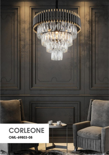 Люстра подвесная OML-69803-08 фото 4 Люстра подвесная OML-69803-08 фото 4