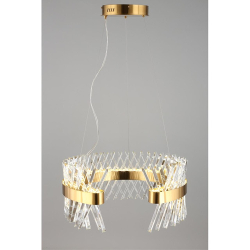 Люстра подвесная OML-99903-62 фото 5 Люстра подвесная OML-99903-62 фото 5