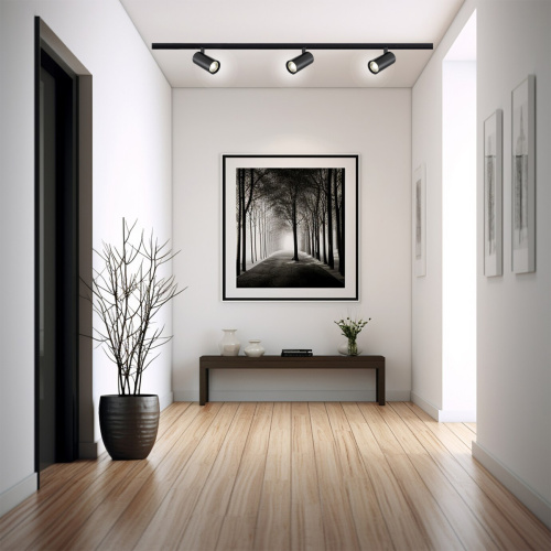 Трек Escada 20002TRA/01 LED 10W 4000K черный матовый фото 3